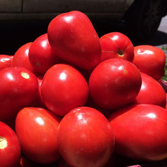 foto Pomodori per  passata